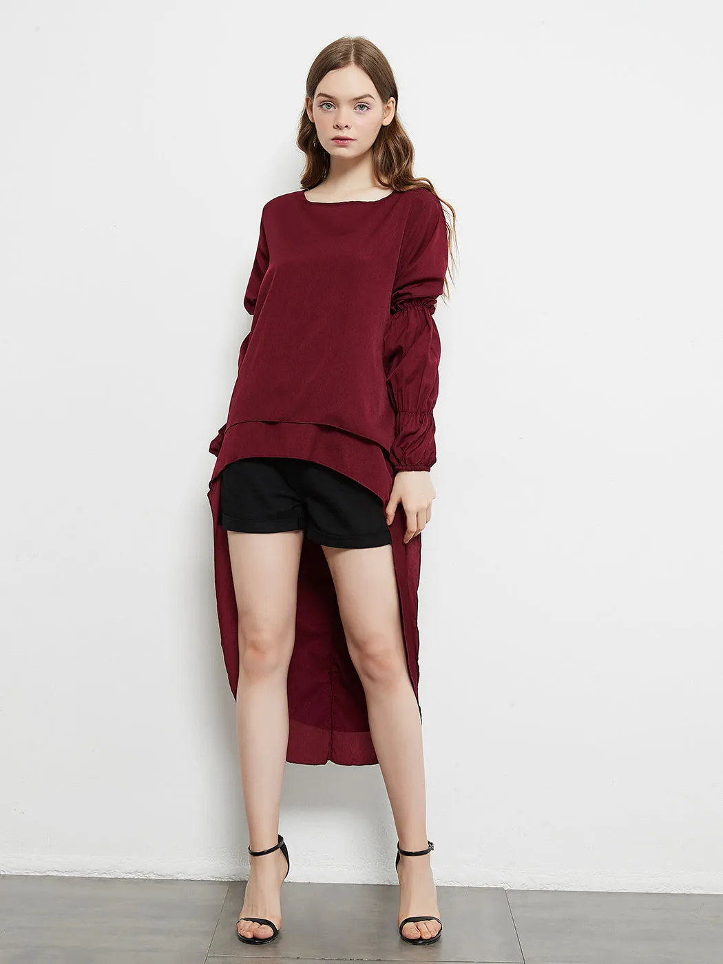 Lantern Long Sleeve Tops High-Low Hem Tunic Round Neck Asymmetrical Irregular Hem Casual Blouse Shirt Dress