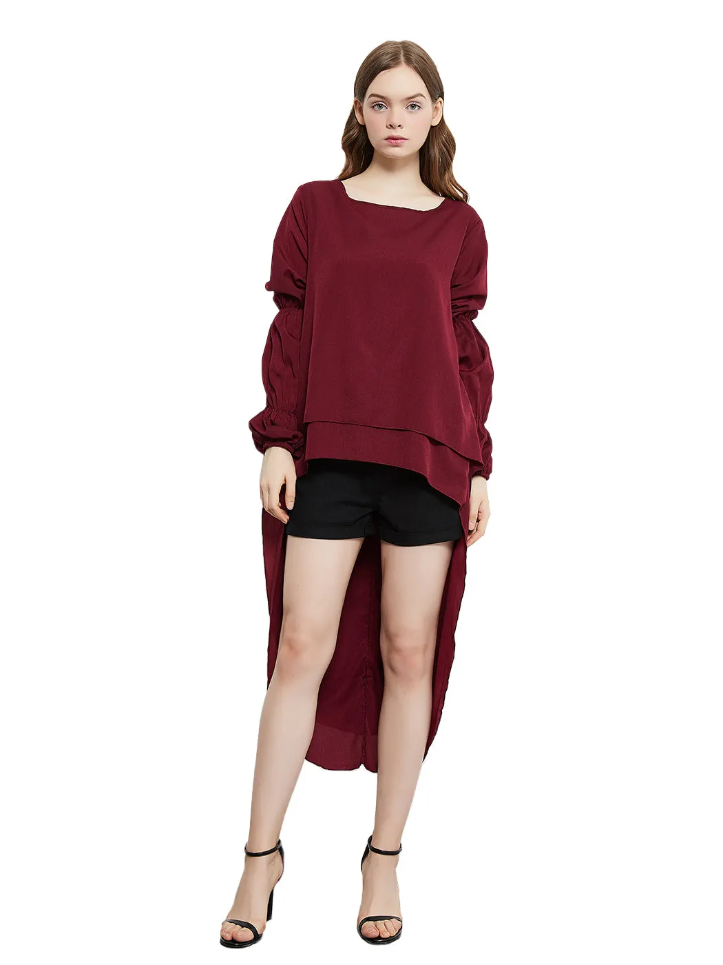 Lantern Long Sleeve Tops High-Low Hem Tunic Round Neck Asymmetrical Irregular Hem Casual Blouse Shirt Dress