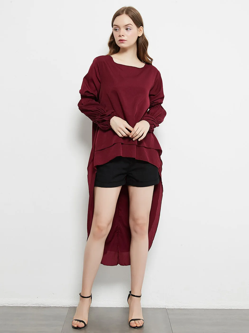 Lantern Long Sleeve Tops High-Low Hem Tunic Round Neck Asymmetrical Irregular Hem Casual Blouse Shirt Dress