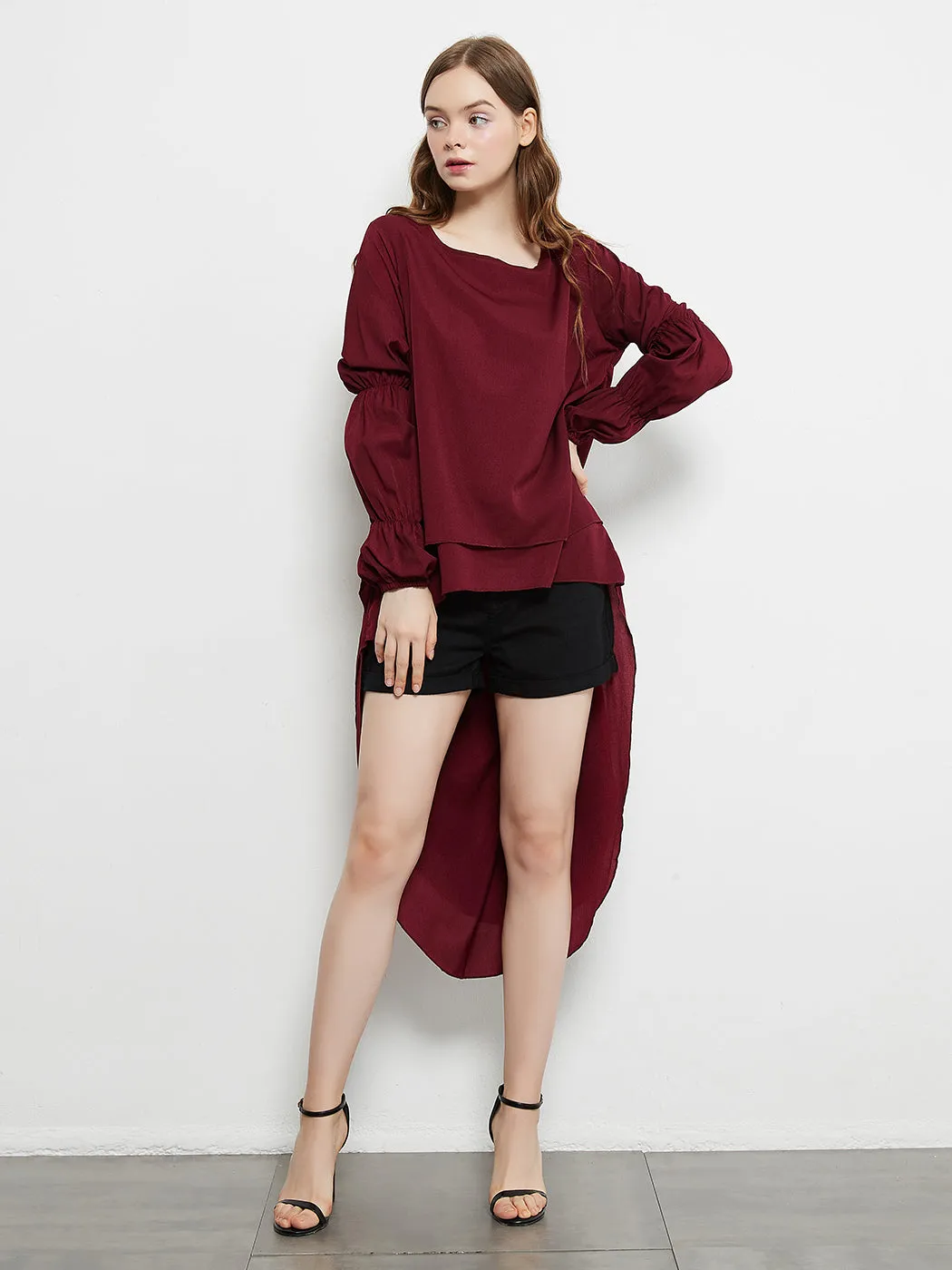 Lantern Long Sleeve Tops High-Low Hem Tunic Round Neck Asymmetrical Irregular Hem Casual Blouse Shirt Dress