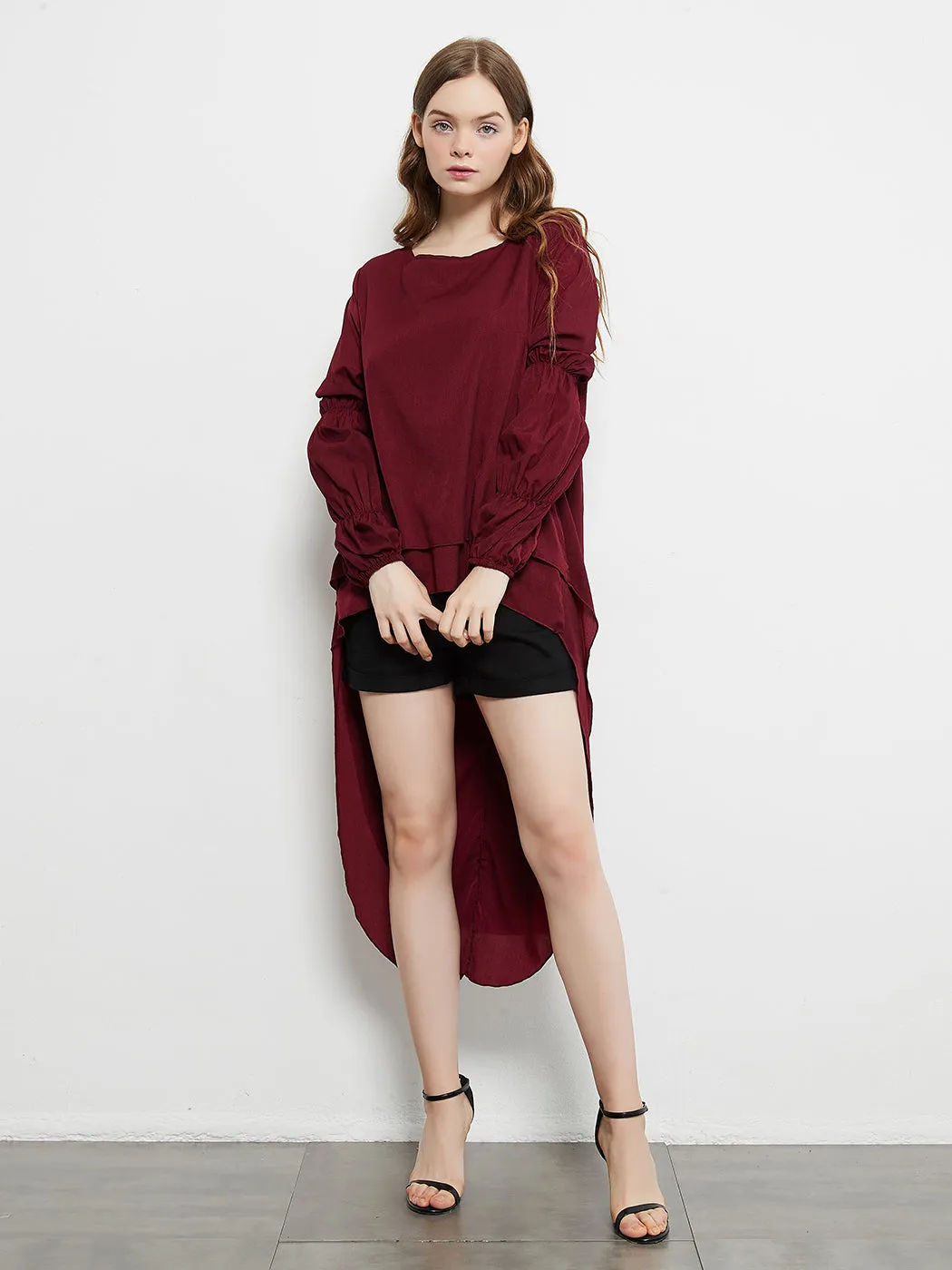 Lantern Long Sleeve Tops High-Low Hem Tunic Round Neck Asymmetrical Irregular Hem Casual Blouse Shirt Dress