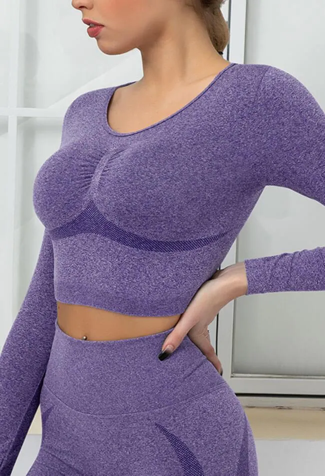 Seamless Folds Stretchy Slim Long Sleeve Crop Top - Terry