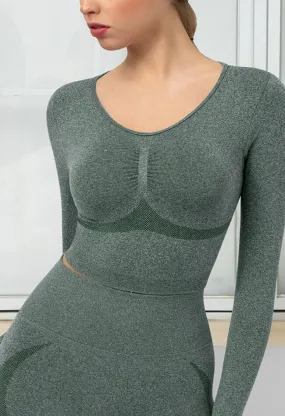 Seamless Folds Stretchy Slim Long Sleeve Crop Top - Terry