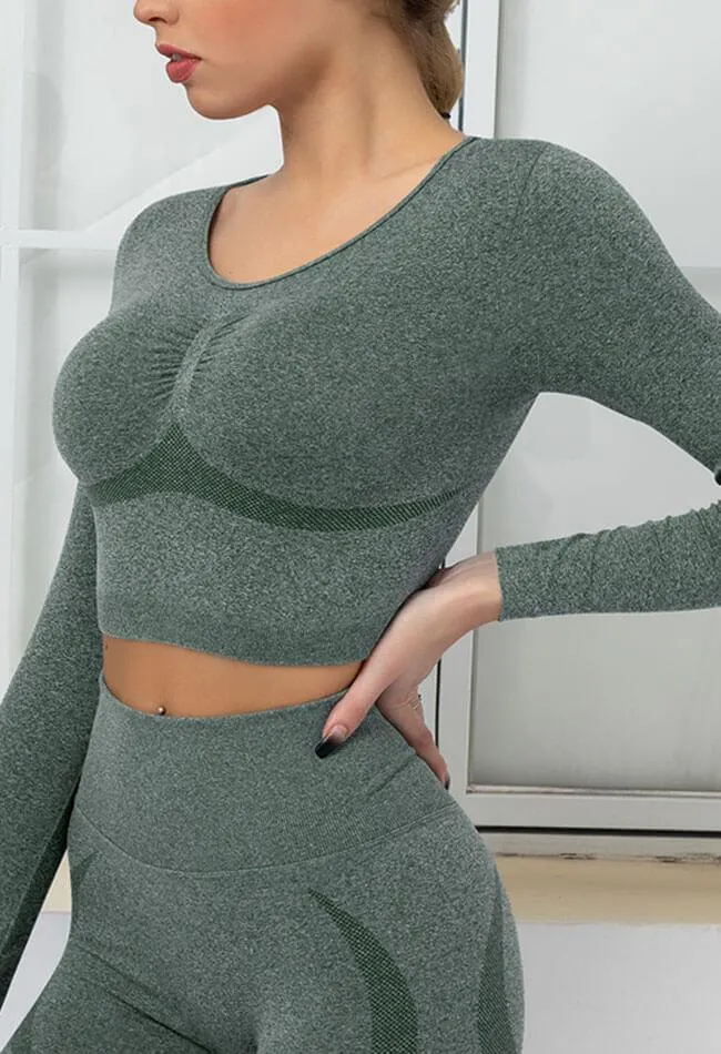 Seamless Folds Stretchy Slim Long Sleeve Crop Top - Terry