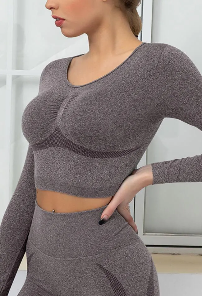 Seamless Folds Stretchy Slim Long Sleeve Crop Top - Terry