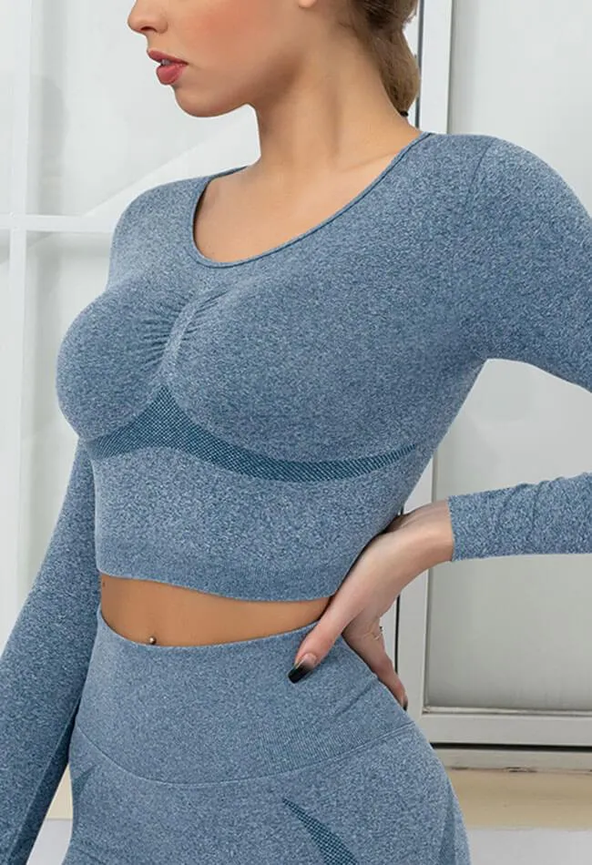 Seamless Folds Stretchy Slim Long Sleeve Crop Top - Terry