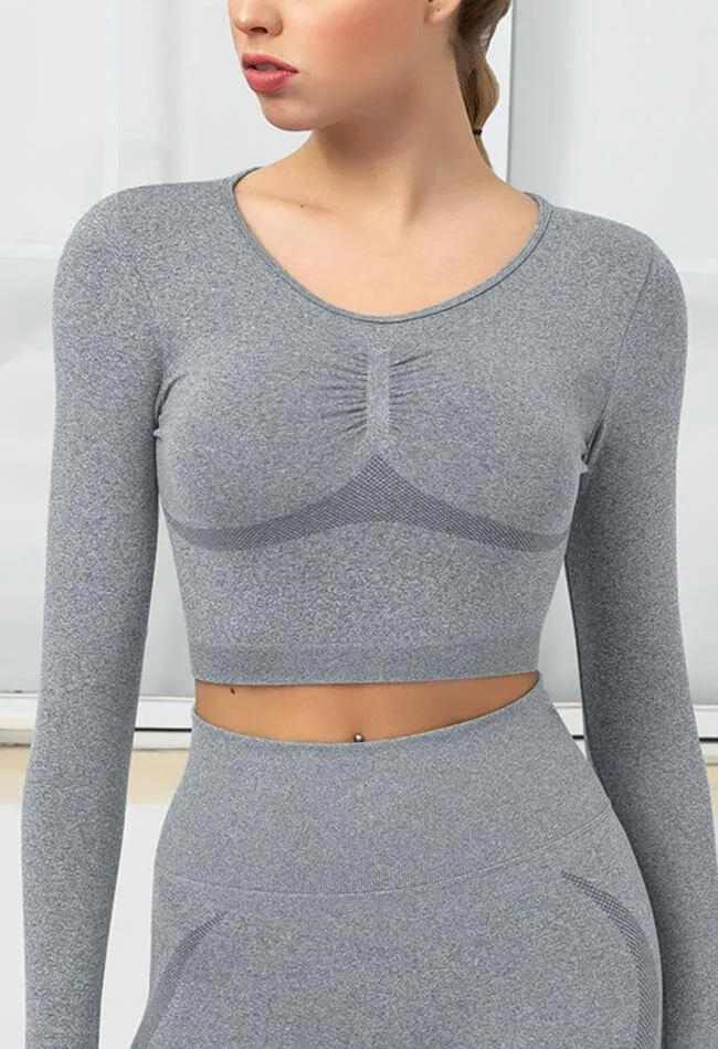 Seamless Folds Stretchy Slim Long Sleeve Crop Top - Terry
