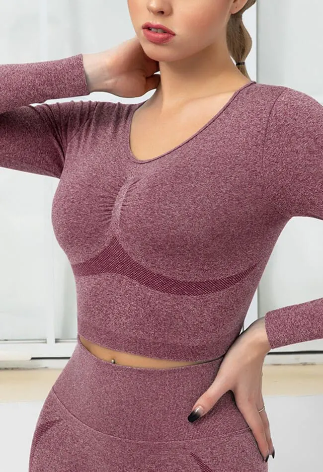 Seamless Folds Stretchy Slim Long Sleeve Crop Top - Terry