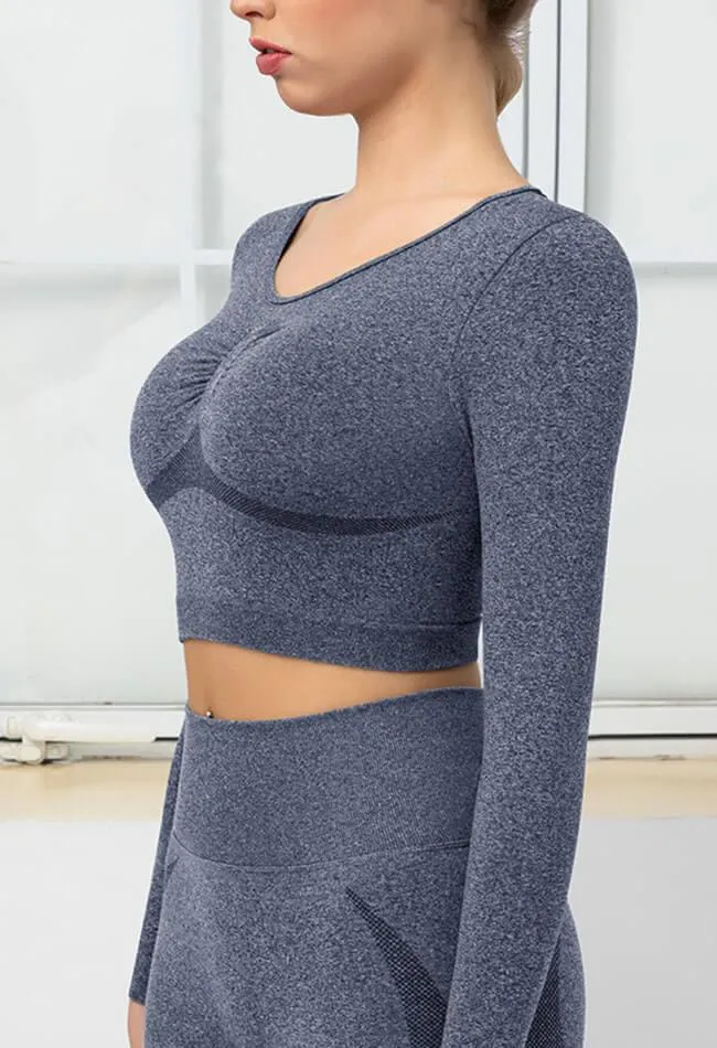 Seamless Folds Stretchy Slim Long Sleeve Crop Top - Terry